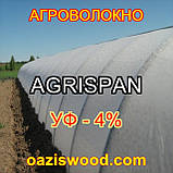 Агроволокно біле 3.2х100м 40г/кв. м UV-P 4% AGRISPAN-АГРИСПАН Польська якість за доступною ціною., фото 3