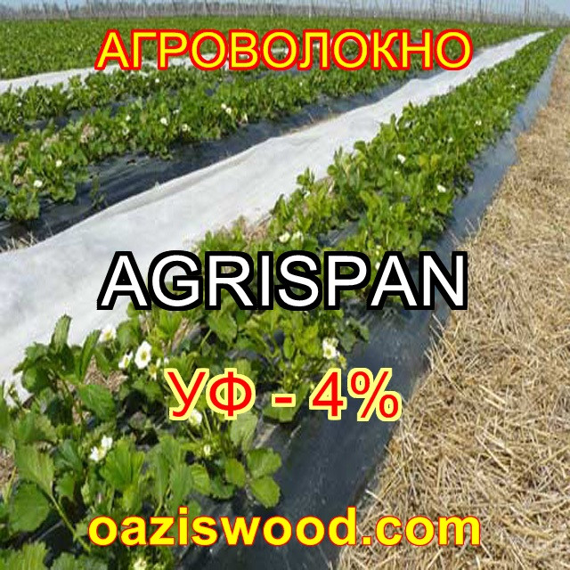 Агроволокно чорне 1.07х100м щільність 50г/кв. м. UV-P 4% AGRISPAN-АГРИСПАН Польська якість за доступною ціною.