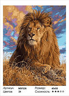 Набор для рисования Картина по номерам 40х50 "Царь зверей" (на подрамнике) MSP338