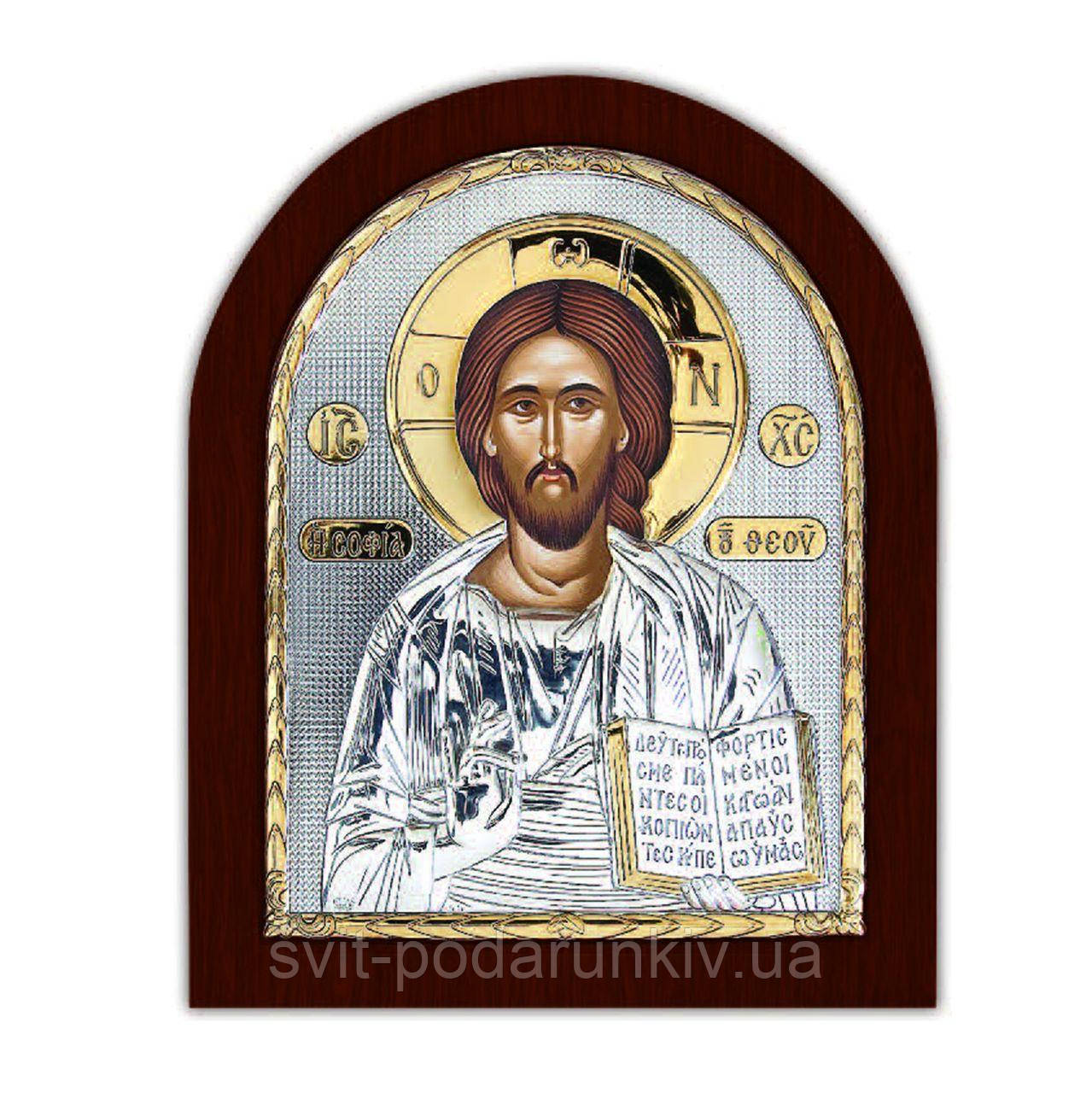 Ікона1394 EP2-001XAG/P Silver Axion, фото 1