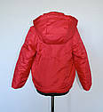 Дитяча куртка для дівчаток 6-8 років червоного кольору демісезонна, фото 3