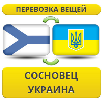 Перевезення Особистих Речей з Сосновця в Україну