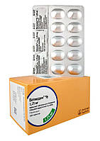 Ветмедин 1,25 мг Vetmedin при сердечной недостаточности у собак, 10 таблеток