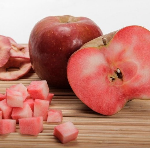 Саджанці яблуні "Red Moon", фото 1