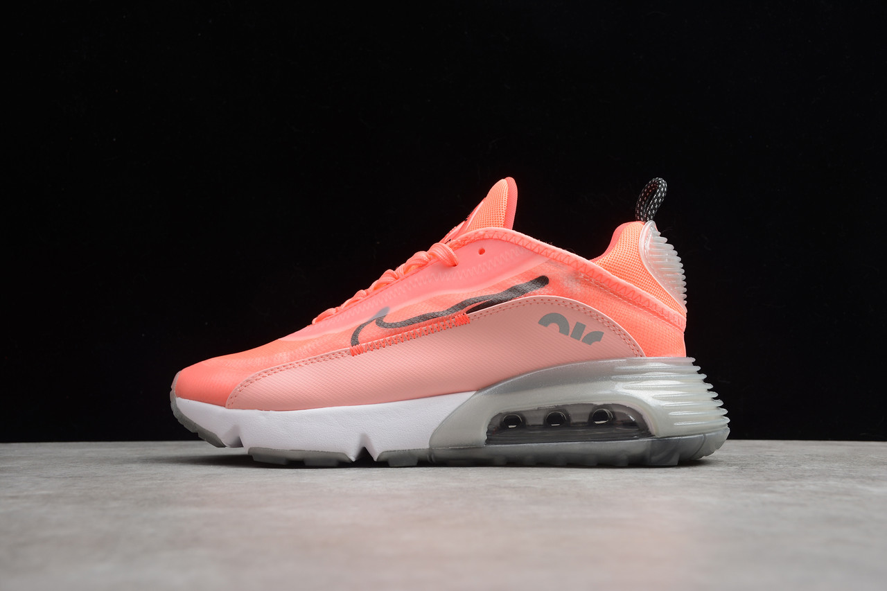 Кросівки жіночі Nike Air Max 2090 / 90AMM-392