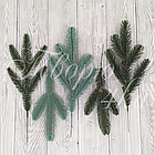 Гілка лита Ялина сибірська Преміум зелена, фото 6