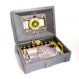 Теплуша ПРО 72 12/50 ТАВ. Інкубатор з живленням 12В, автоматичний інверторний з вбудованим гігрометром., фото 3