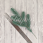 Гілка лита Ялина канадська Еліт блакитна, фото 6