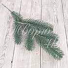 Гілка лита Ялина канадська Еліт блакитна, фото 5