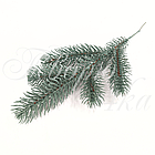 Гілка лита Ялина канадська Еліт блакитна, фото 4