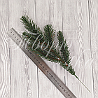 Гілка лита Ялина канадська Еліт зелена Засніжена, фото 2