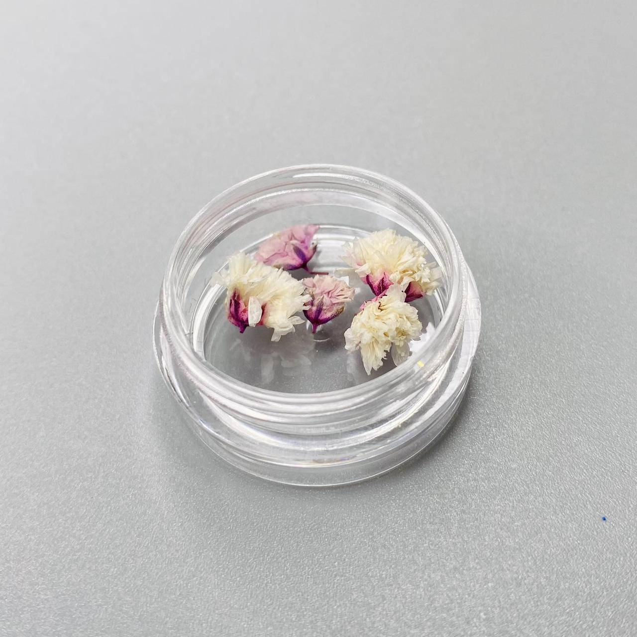 

Сухоцветы розовые цветы, Розовый