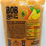 Натуральне фруктове пюре Bob Snail — Манго (400 грамів), фото 2