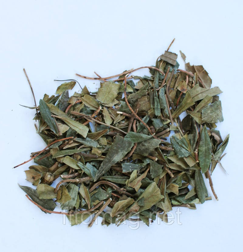 Зимолюбка трава 30 г.