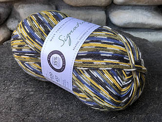 Носкова пряжа WYS, серія Country Birds