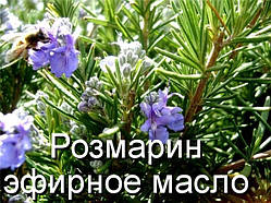 Розмарин-ефірна олія(ід.нат.)(Німеччина)-10 мл