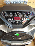 Колонка акумуляторна Ailiang U1318 з радіомікрофонами (200W/USB/BT/FM), фото 4
