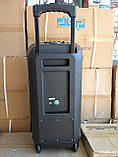 Колонка акумуляторна Ailiang UF-2101 з радіомікрофонами (120W/USB/BT/FM), фото 5