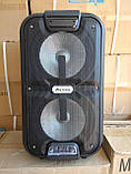 Колонка акумуляторна Ailiang UF-2101 з радіомікрофонами (120W/USB/BT/FM), фото 4