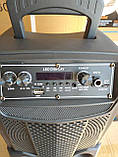 Колонка акумуляторна портативна бездротова Ailiang Lige-2806 (USB/BT/FM), фото 3