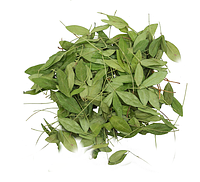 Барвинок малый, трава 50 грамм - (Herba Vinca minor)