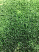 Штучна трава для футболу Belling 40 мм, фото 3