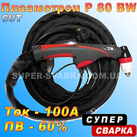 Плазмотрон Р-80 BW (5 або 8 метрів)