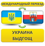 Міжнародний переїзд із України ведмедів