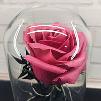 Роза в колбе с Led подсветкой - Розовая! Мега цена