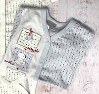 Боді-футболка "Amici bambino" (19373-03) для хлопчика, Garden baby (Гарден Бейбі) 74 р. Блакитний/Молочний