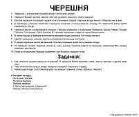 Картки Домана Подарунковий набір Вундеркінд з пелюшок Мега валіза російською мовою, фото 6