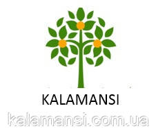 Kalamansi