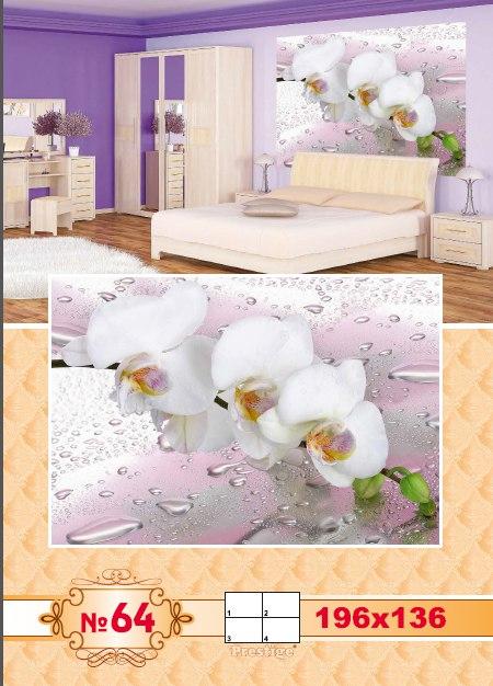 Фотообої Біла орхідея No 64-196*136 см, фото 1