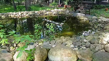 Декоративный чистый пруд. 25