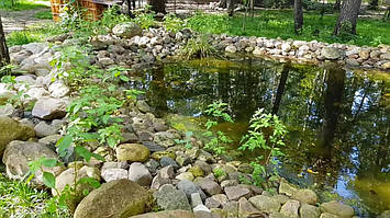 Декоративный чистый пруд. 7