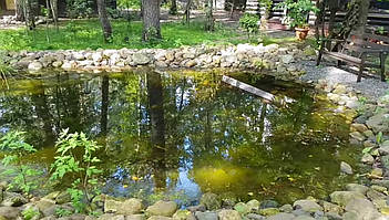 Декоративный чистый пруд. 18