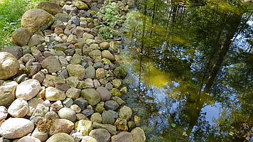 Декоративный чистый пруд. 9