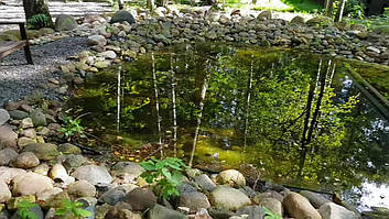 Декоративный чистый пруд. 16