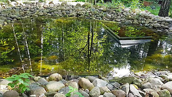 Декоративный чистый пруд. 12