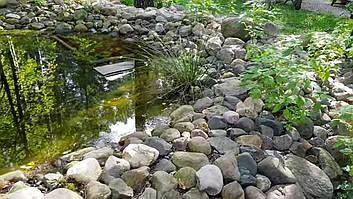 Декоративный чистый пруд. 24