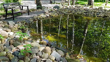 Декоративный чистый пруд. 13