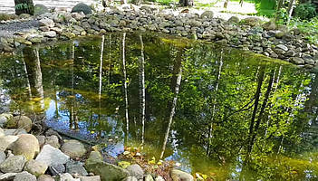 Декоративный чистый пруд. 5