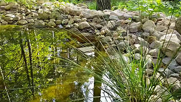 Декоративный чистый пруд. 20