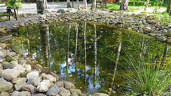 Декоративный чистый пруд. 17