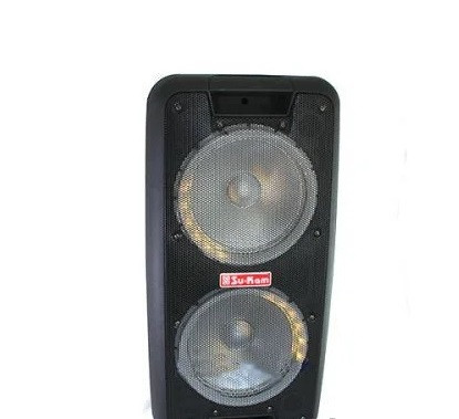 Портативна колонка Su-Kam 1010 2 мікрофона c BT 12v\220v