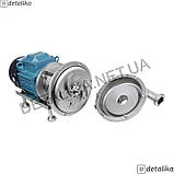 Насос відцентровий гігієнічний KLX-10 (9 м куб./год), фото 4