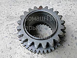 Шестірня Т-150 (151.37.061-3А) z = 26х42х42, фото 4