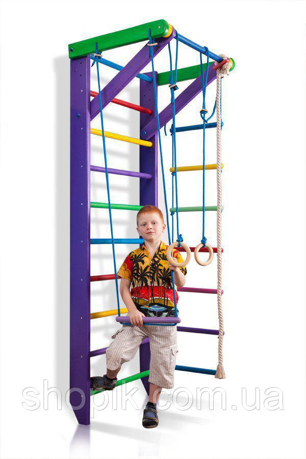 Спортивний куточок «Карусель 2-220» SportBaby SHOPIK