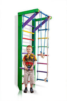 Спортивний куточок "Робін Гуд 2-220" SportBaby SHOPIK