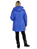 Демісезонна подовжена жіноча куртка з плащової тканини на весну, р-ри 42-60, багато кольорів., фото 3